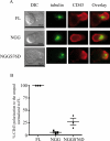 FIGURE 6: