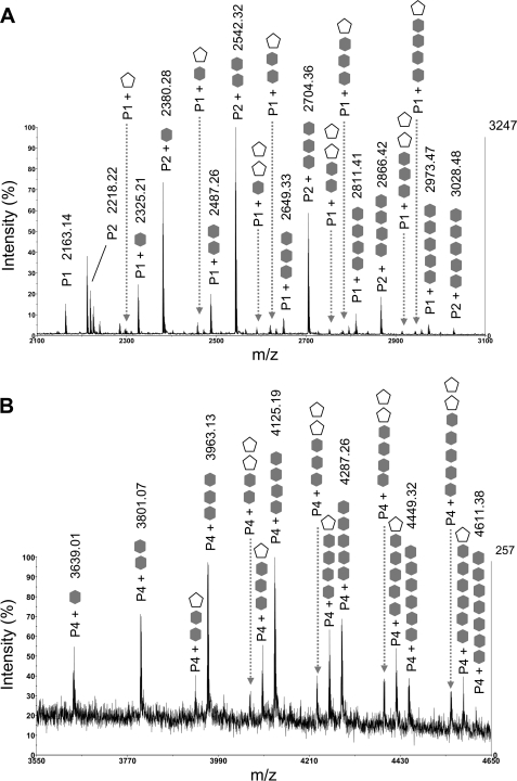 FIGURE 4.