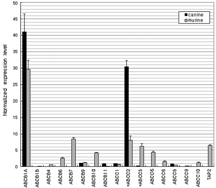 Figure 5