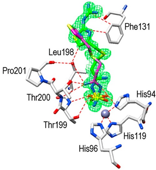 Figure 4