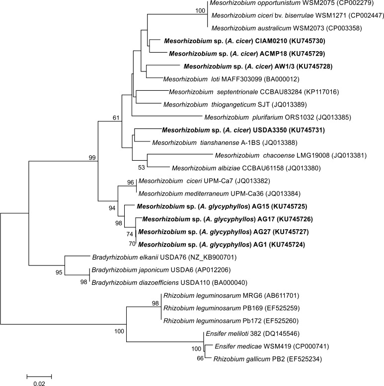 Fig. 1