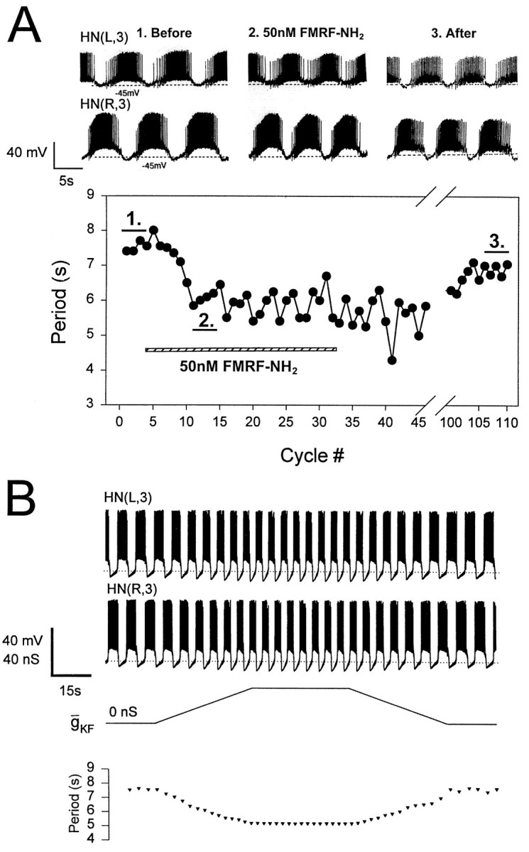 Fig. 8.