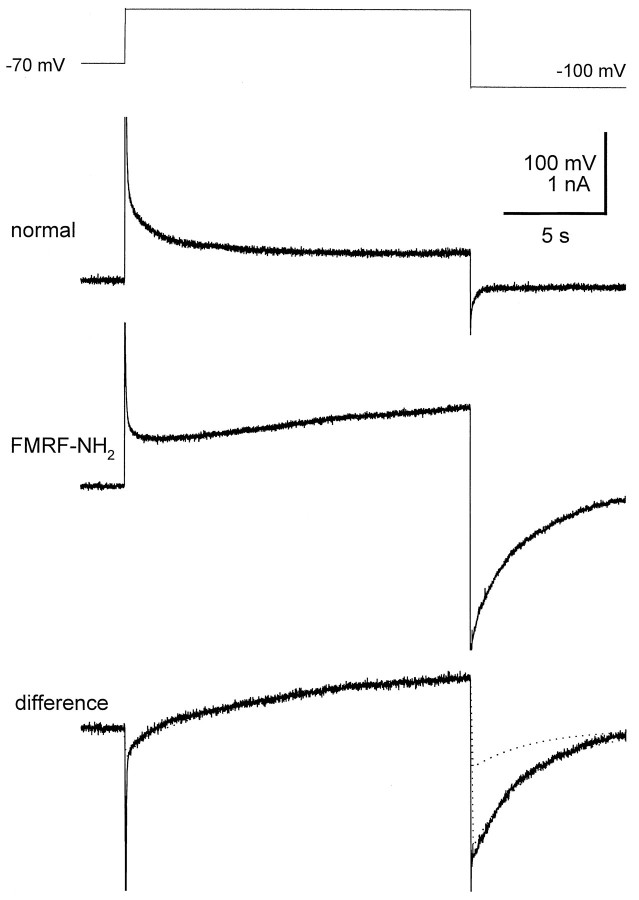 Fig. 5.