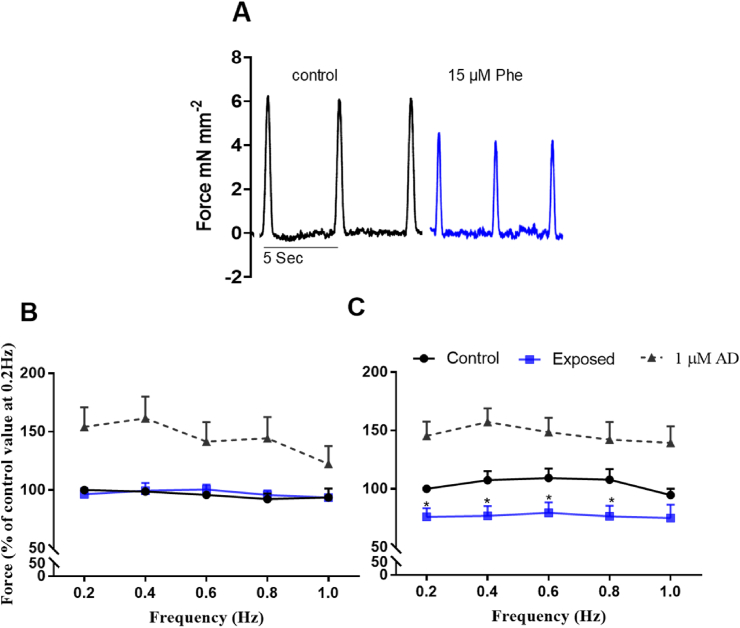 Fig. 2