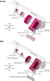 Figure 6: