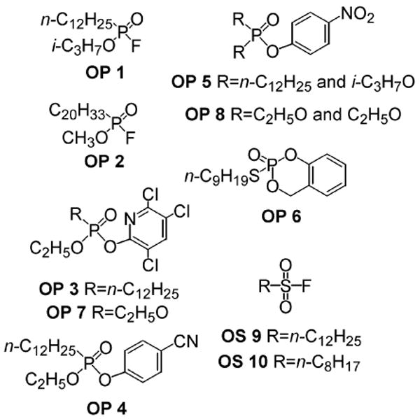 Scheme 2