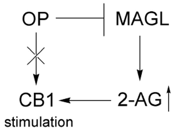 Scheme 3