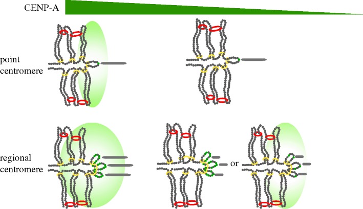 Figure 1.