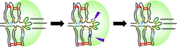 Figure 2.