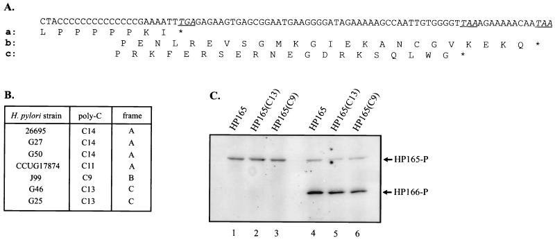 FIG. 5