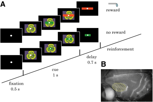 Fig. 1.