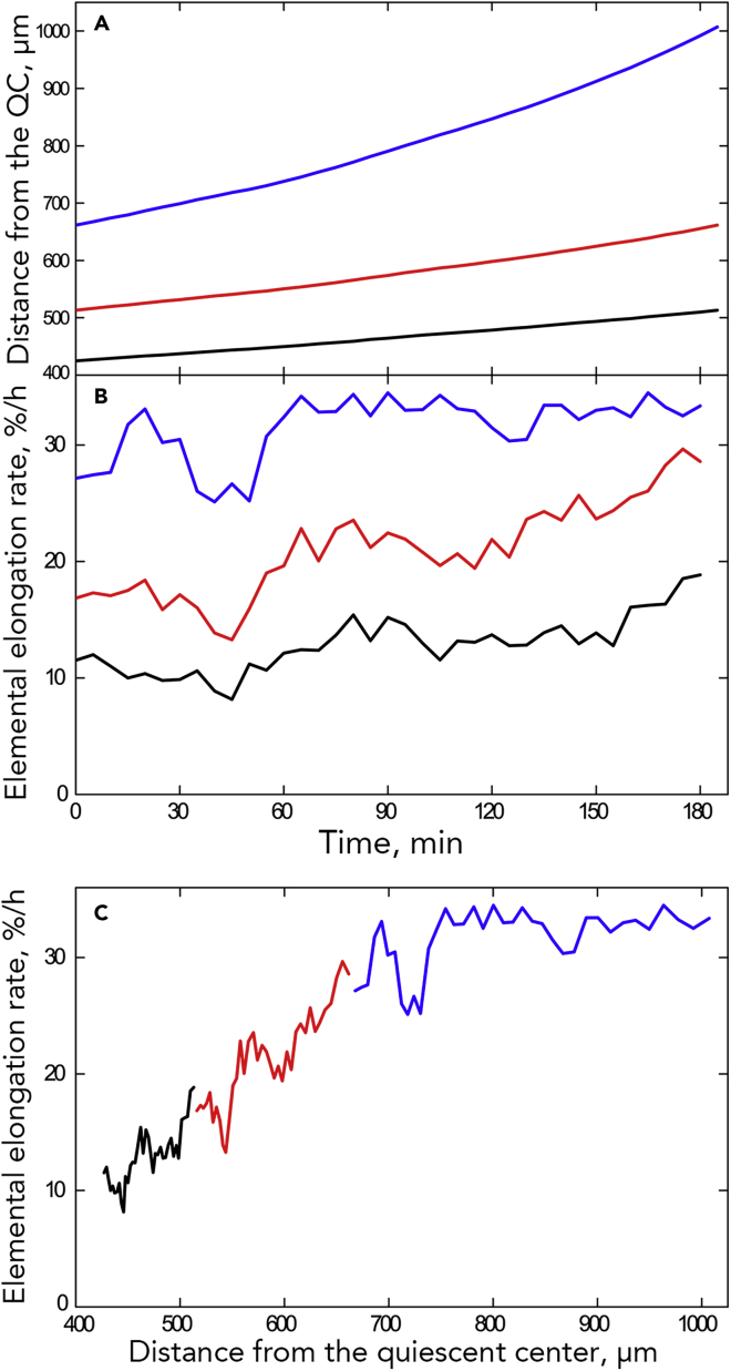 Figure 11