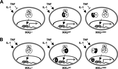 FIGURE 8.