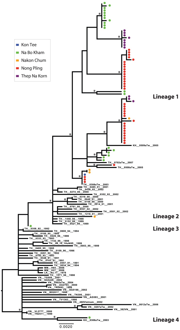 Figure 7