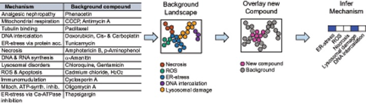 Figure 6.