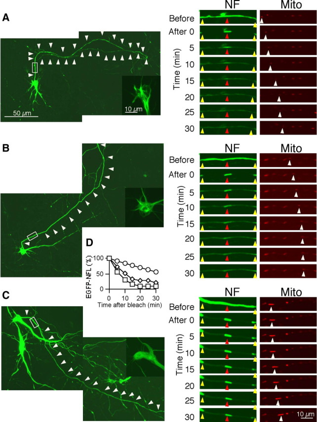 Figure 6.