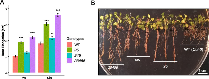 Fig. 8