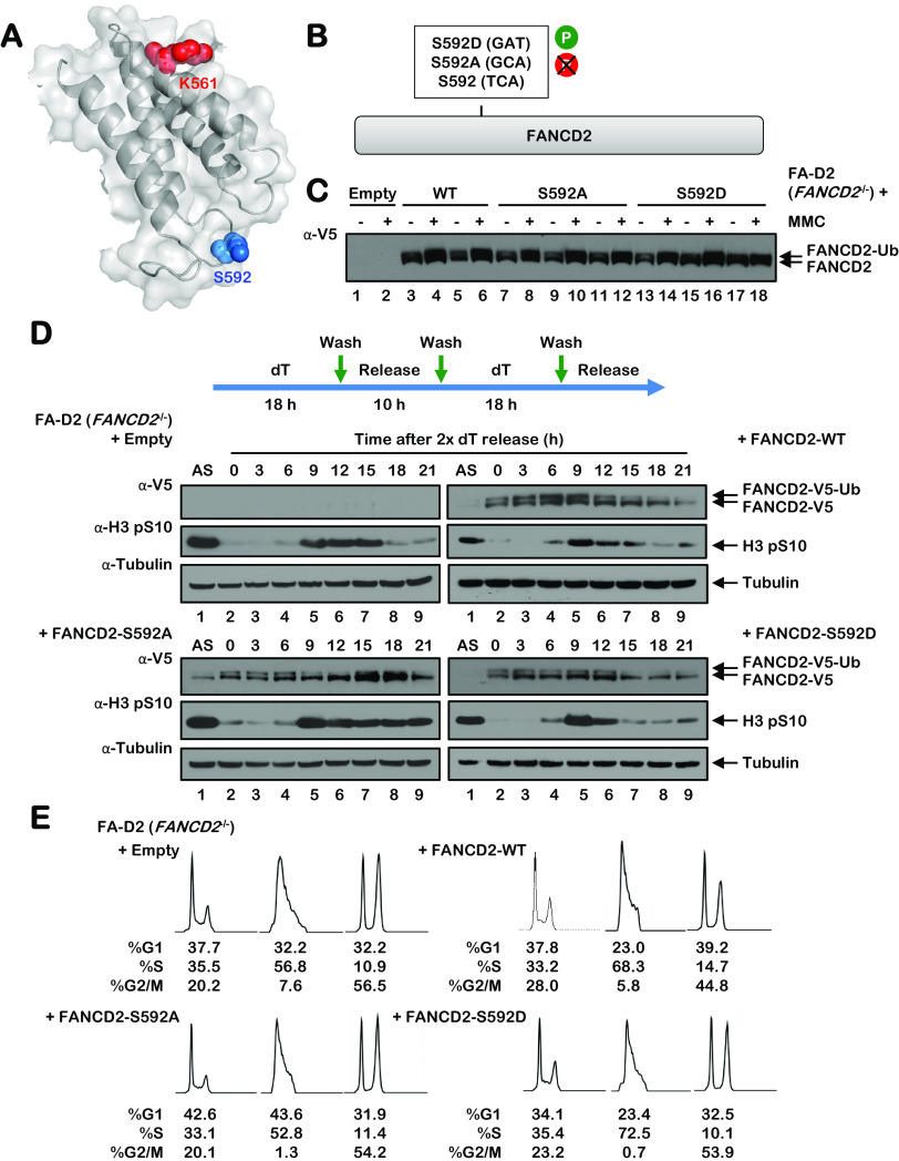 FIG 4