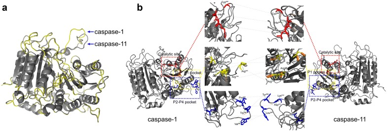 Fig. 4