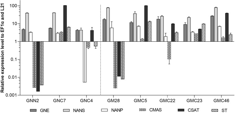 FIGURE 4