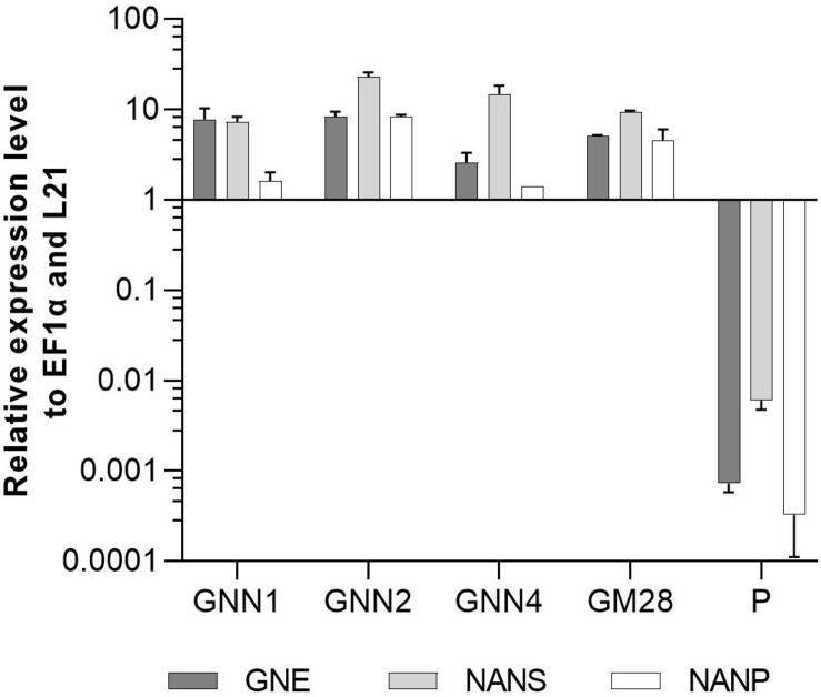 FIGURE 3