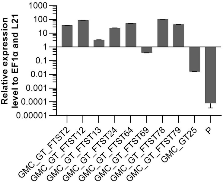 FIGURE 10