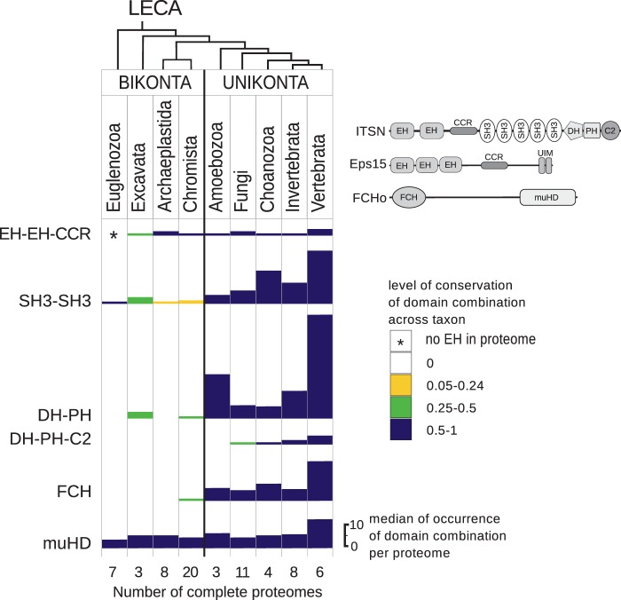 Fig. 2.—