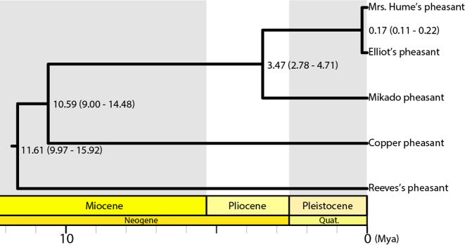 Figure 4: