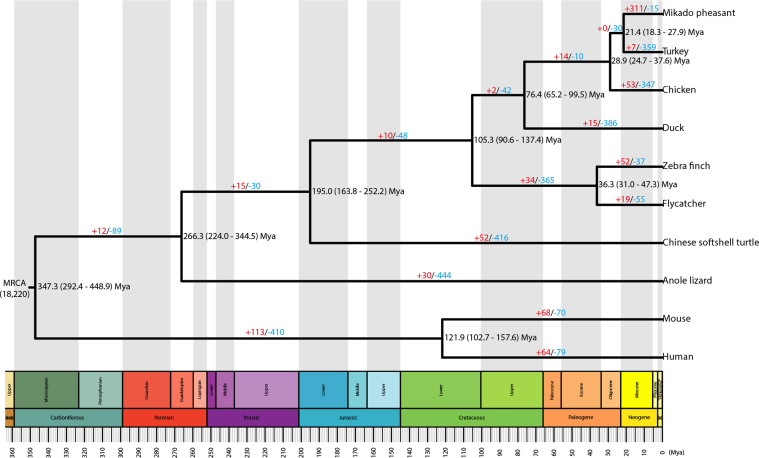 Figure 2: