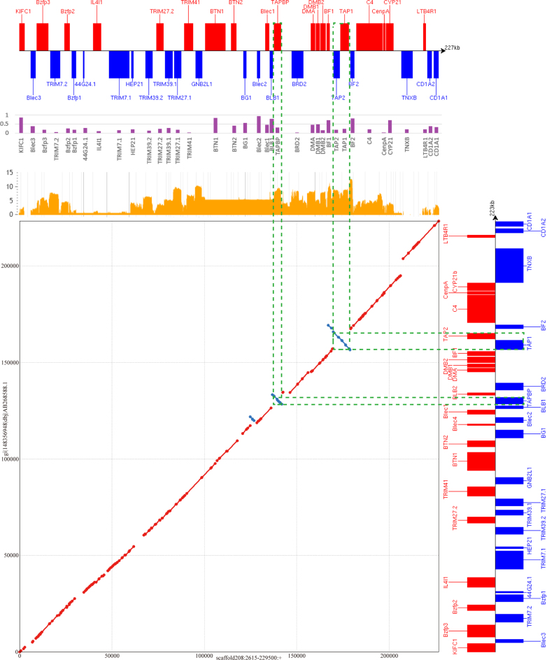 Figure 3: