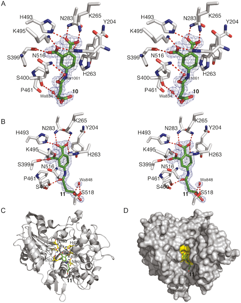 Figure 9.