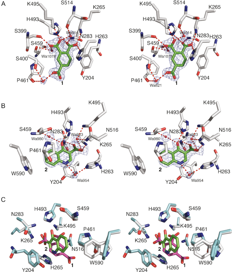 Figure 2.