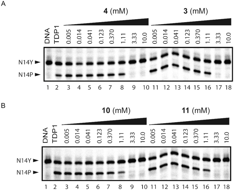 Figure 10.