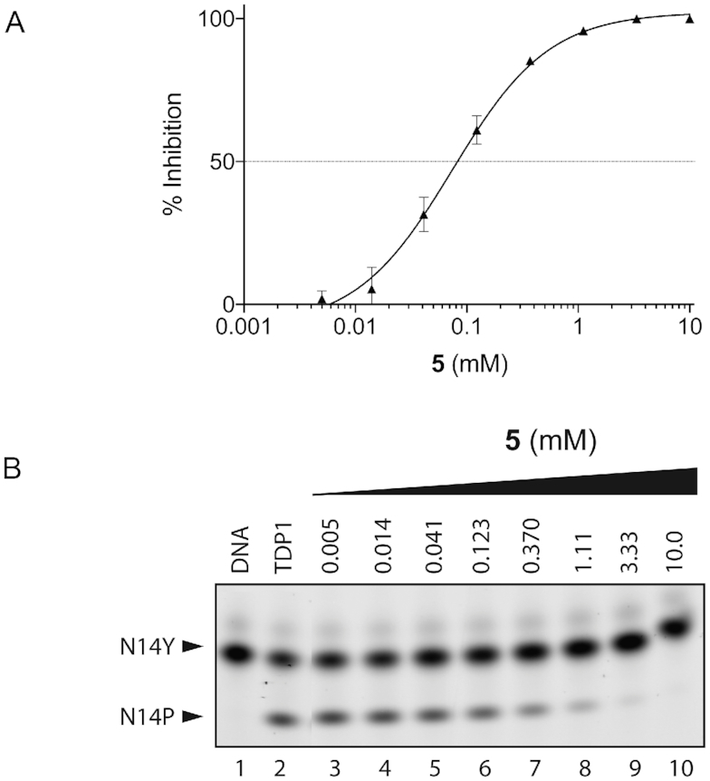 Figure 7.