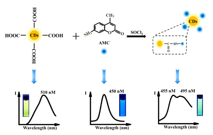 Figure 20