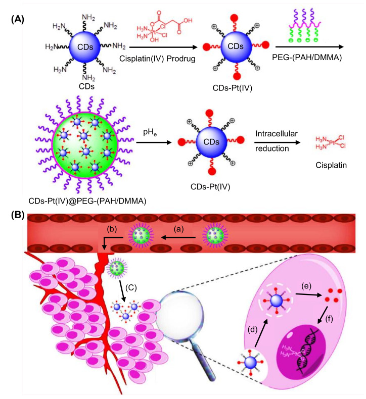 Figure 24