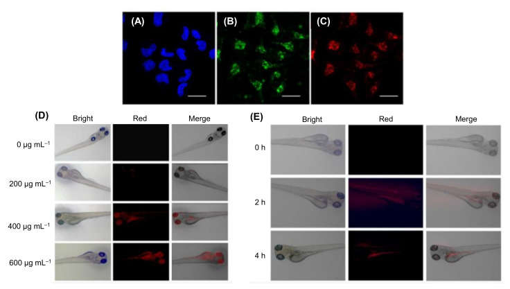 Figure 23