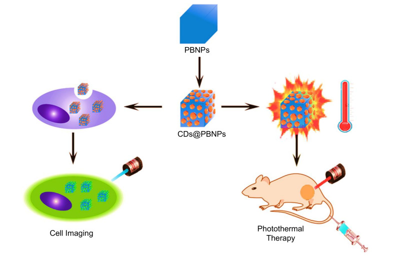 Figure 30