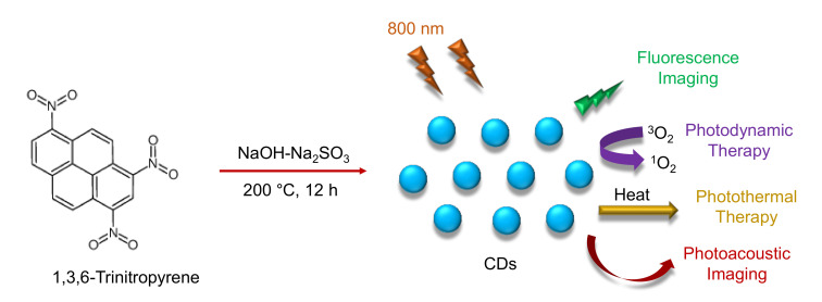 Figure 31