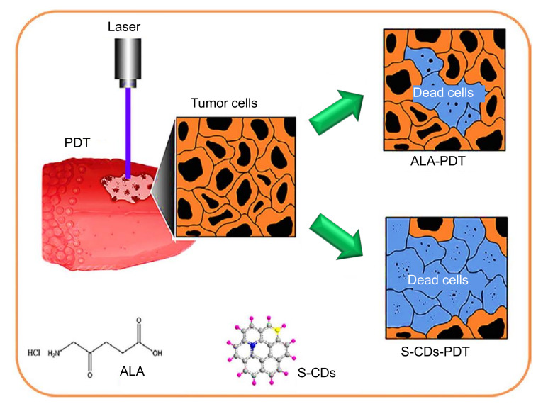 Figure 28