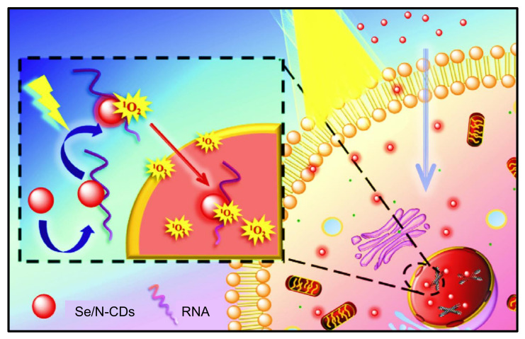 Figure 27