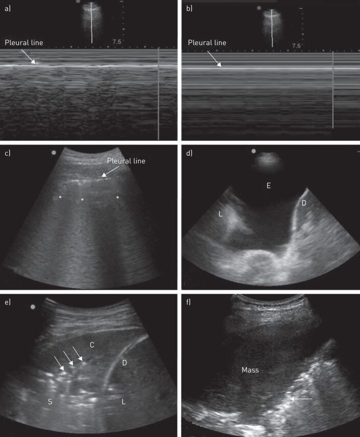 FIGURE 2