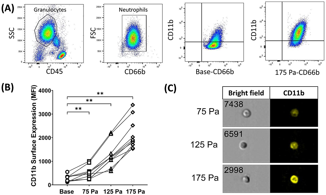 Figure 4: