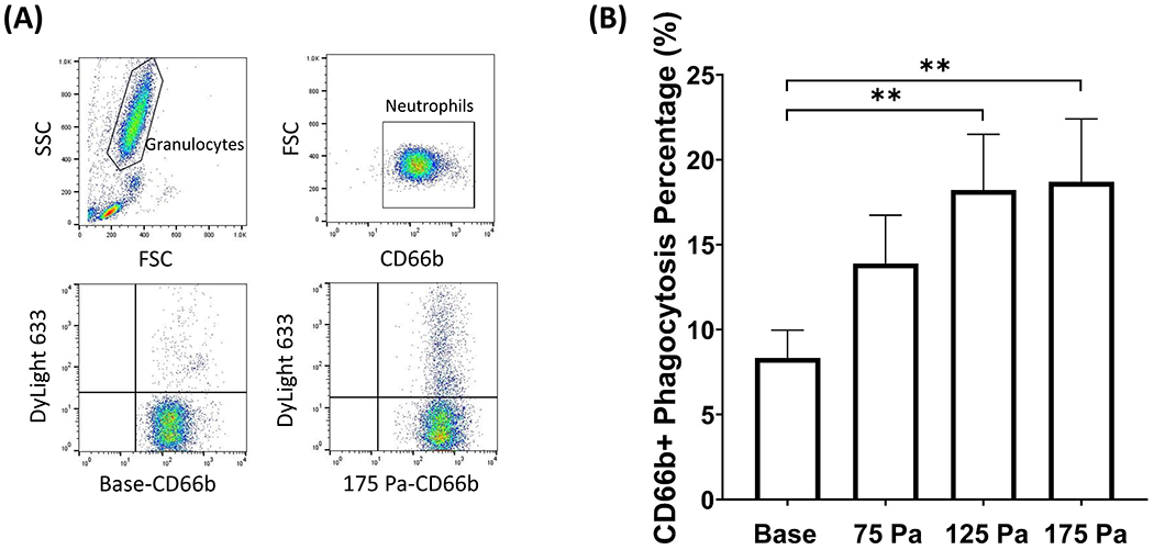 Figure 6: