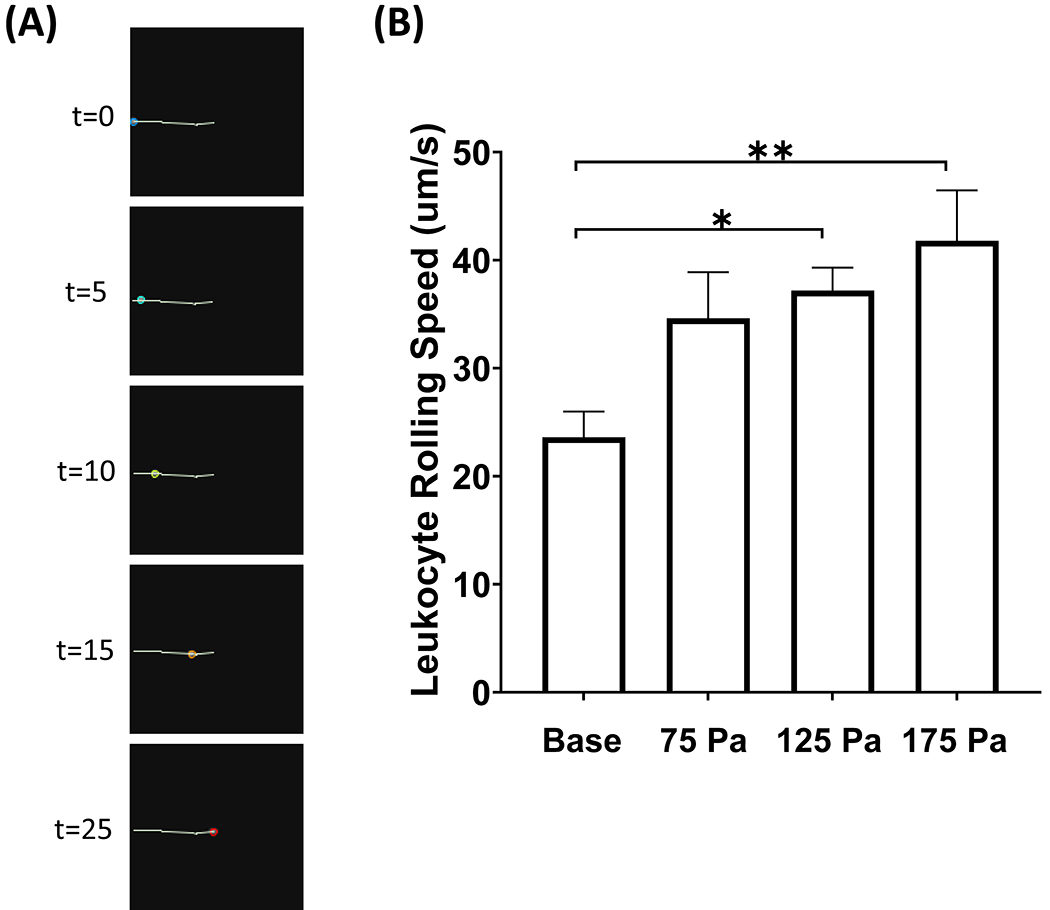 Figure 7: