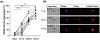 Figure 5: