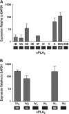 <b>Figure 1.</b>