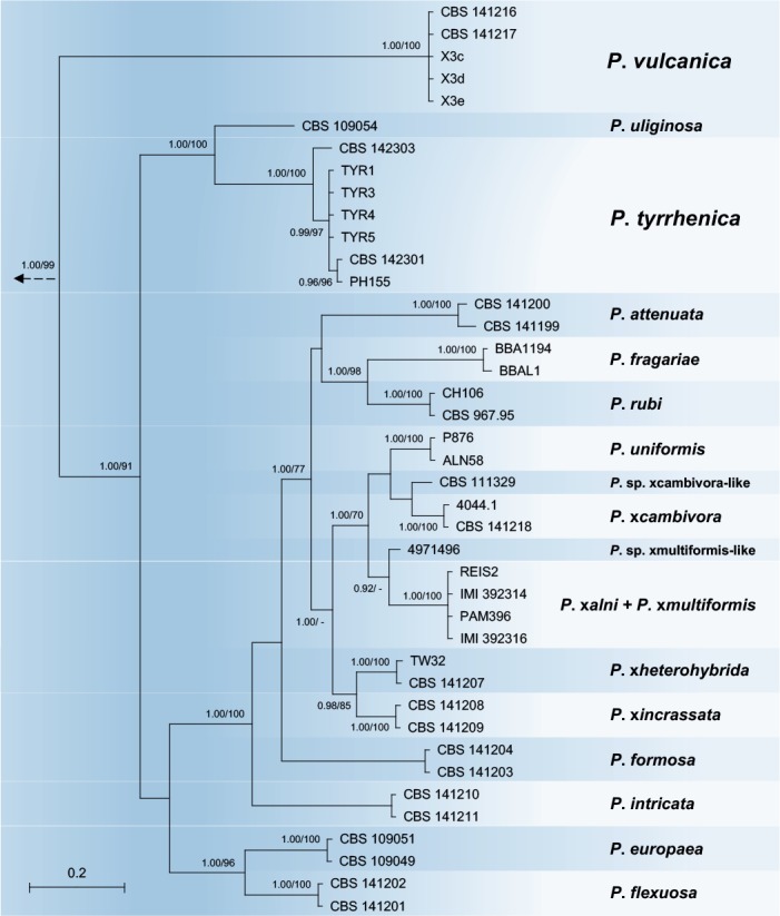 Fig. 3.