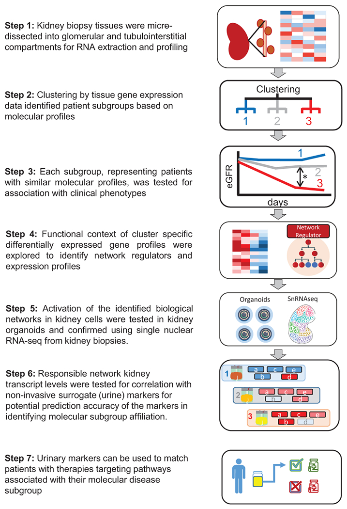 Figure 1: