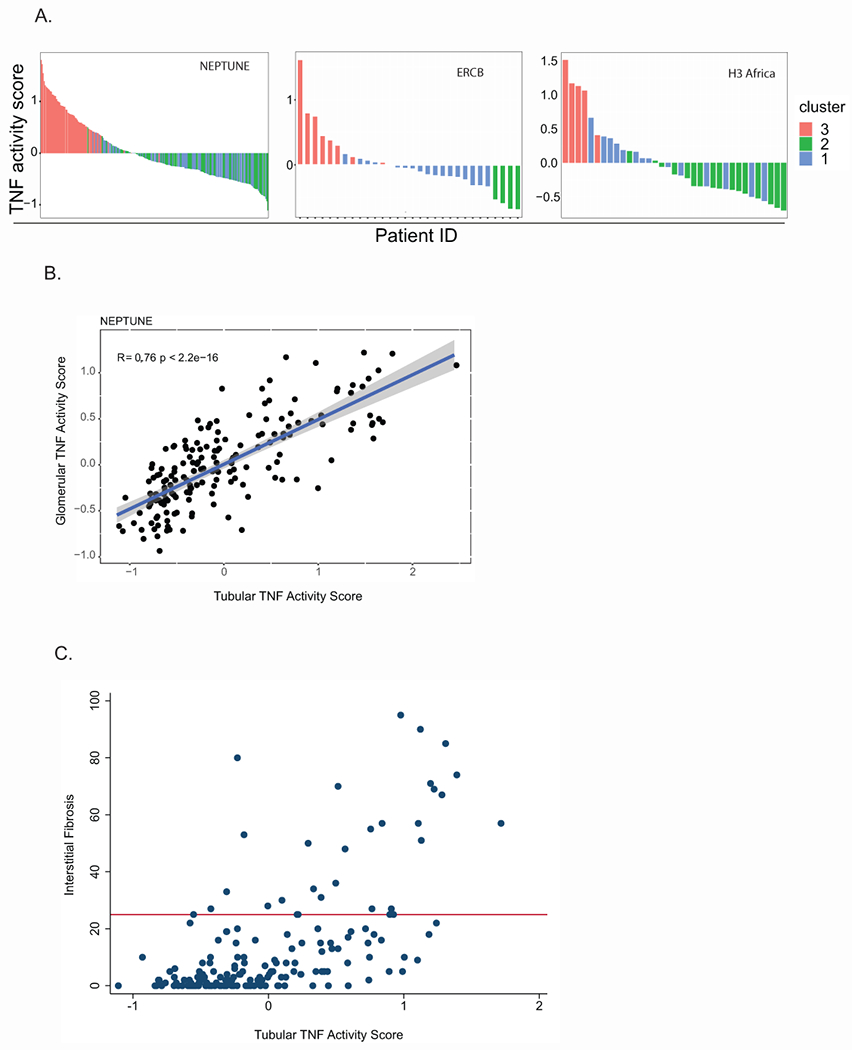 Figure 4: